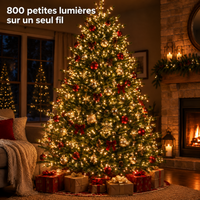 Sapin de Noël illuminé par 800 lumières micro DEL